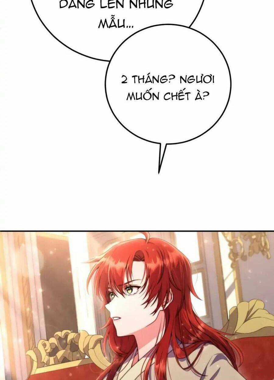 Tôi Sẽ Ly Hôn Với Người Chồng Bạo Chúa Của Mình Chapter 5 trang 17