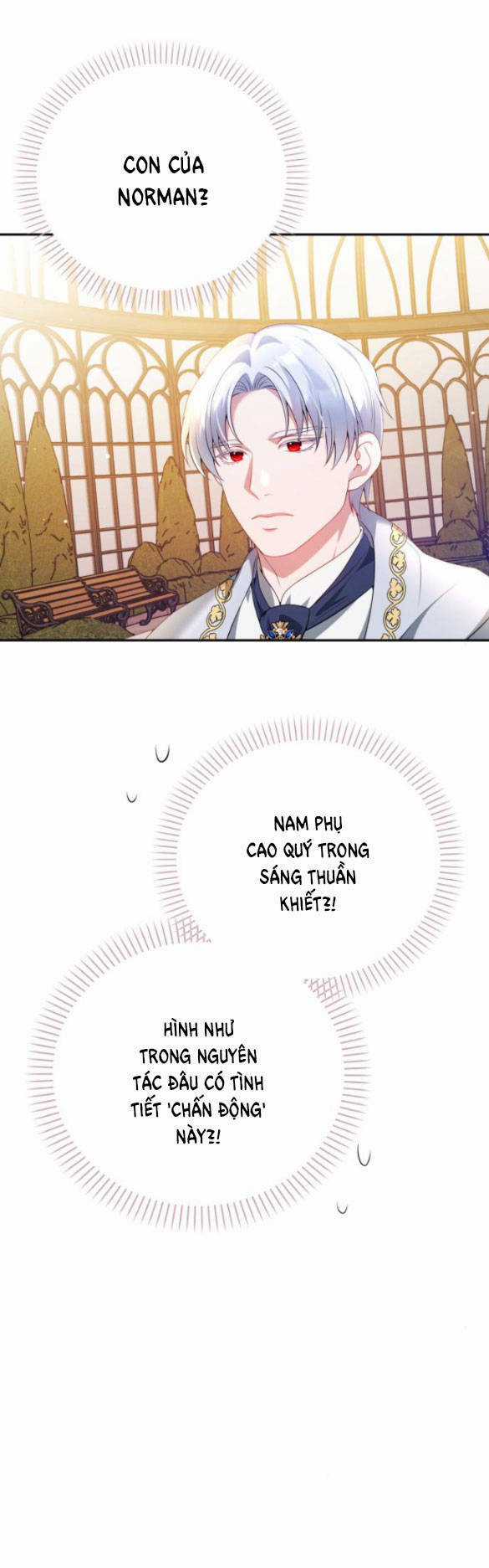 Tôi Sẽ Ly Hôn Với Người Chồng Bạo Chúa Của Mình Chapter 51.1 trang 11