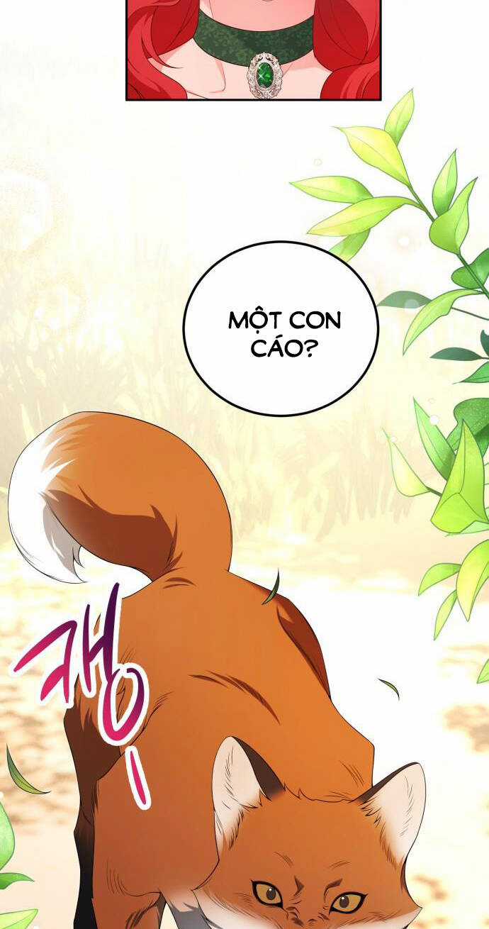 Tôi Sẽ Ly Hôn Với Người Chồng Bạo Chúa Của Mình Chapter 66.1 trang 13