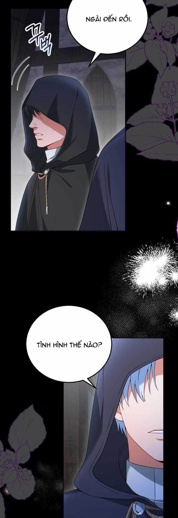 Tôi Sẽ Ly Hôn Với Người Chồng Bạo Chúa Của Mình Chapter 73.2 trang 13