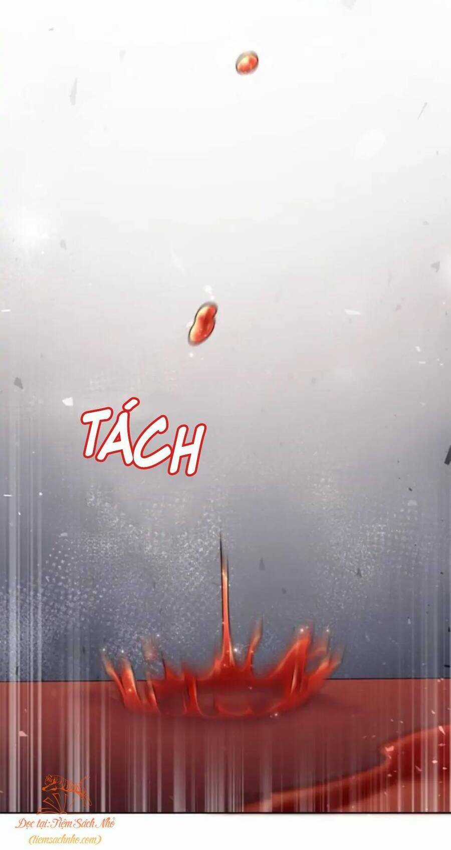 Tôi Sẽ Ly Hôn Với Người Chồng Bạo Chúa Của Mình Chapter 8 trang 9