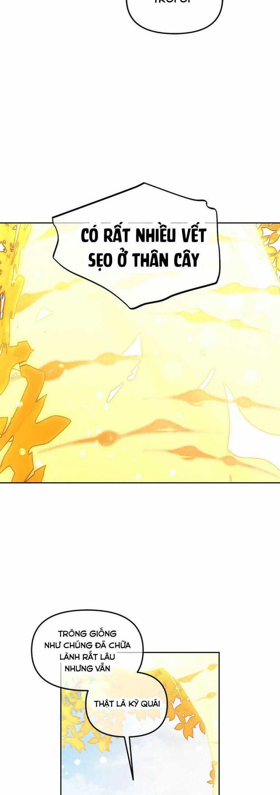 Tôi Sẽ Ở Ngay Bên Cạnh Nam Chính Chapter 47 trang 9