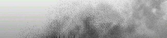 TÔI SẼ QUYẾN RŨ CÔNG TƯỚC PHƯƠNG BẮC Chapter 11 trang 51