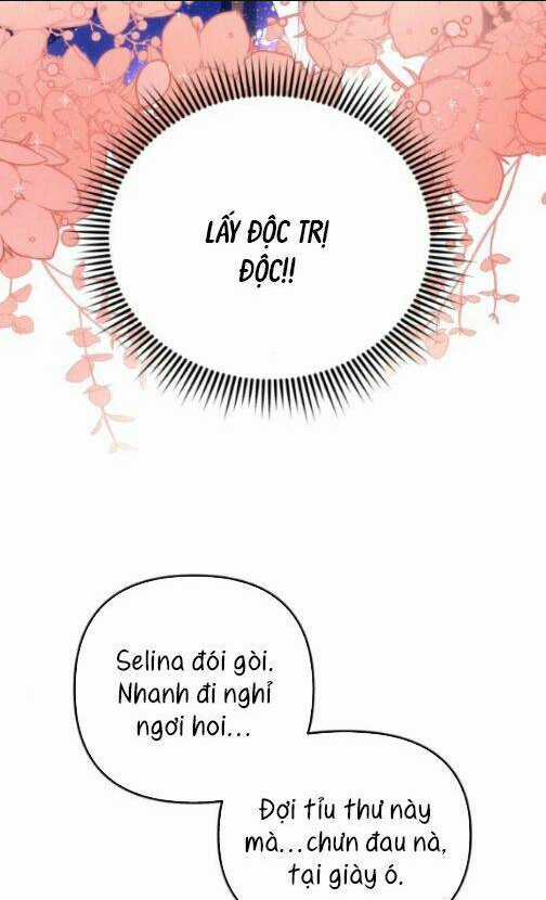 TÔI SẼ QUYẾN RŨ CÔNG TƯỚC PHƯƠNG BẮC Chapter 6 trang 41