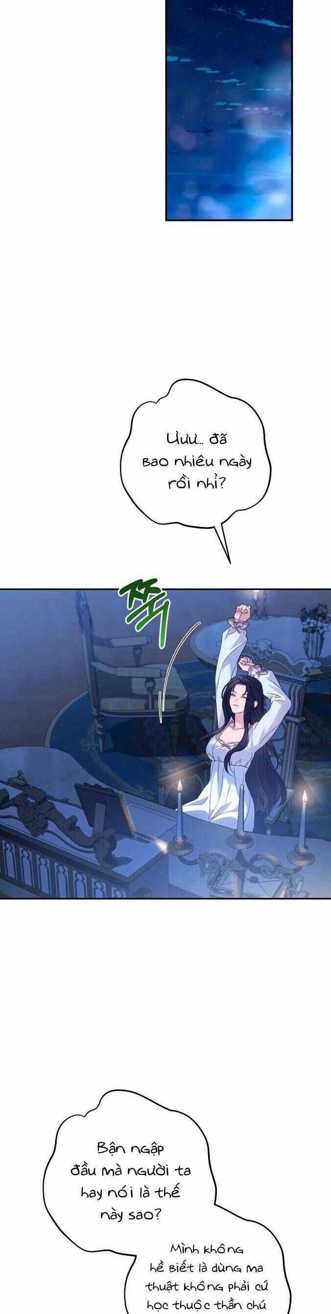 TÔI SẼ QUYẾN RŨ CÔNG TƯỚC PHƯƠNG BẮC Chapter 78 trang 25
