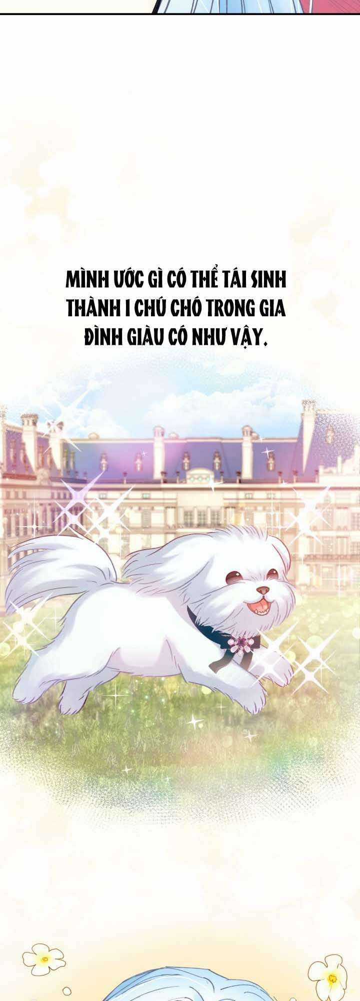 Tôi Sẽ Trở Thành Nhân Vật Chính Trong Trò Chơi Giam Cầm Chapter 3 trang 14