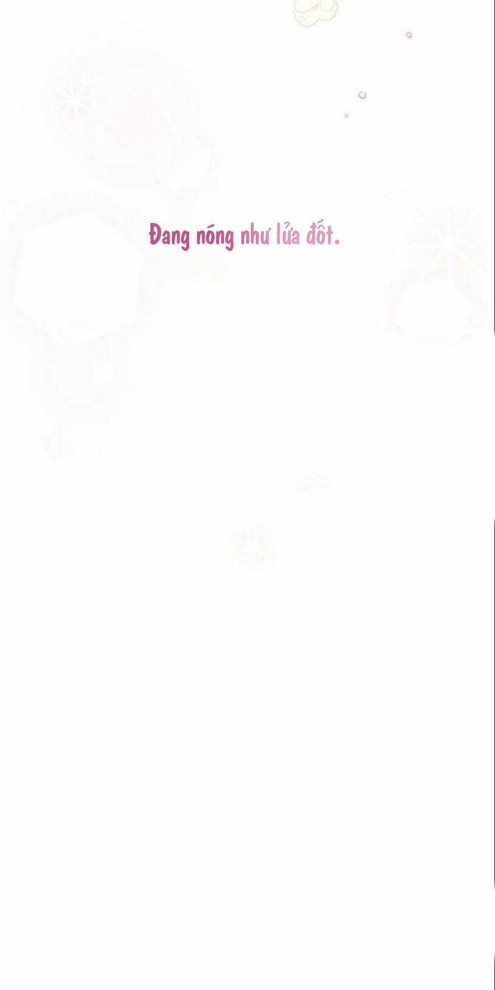 Tôi Sẽ Từ Bỏ Vị Trí Hoàng Phi Chapter 14 trang 12