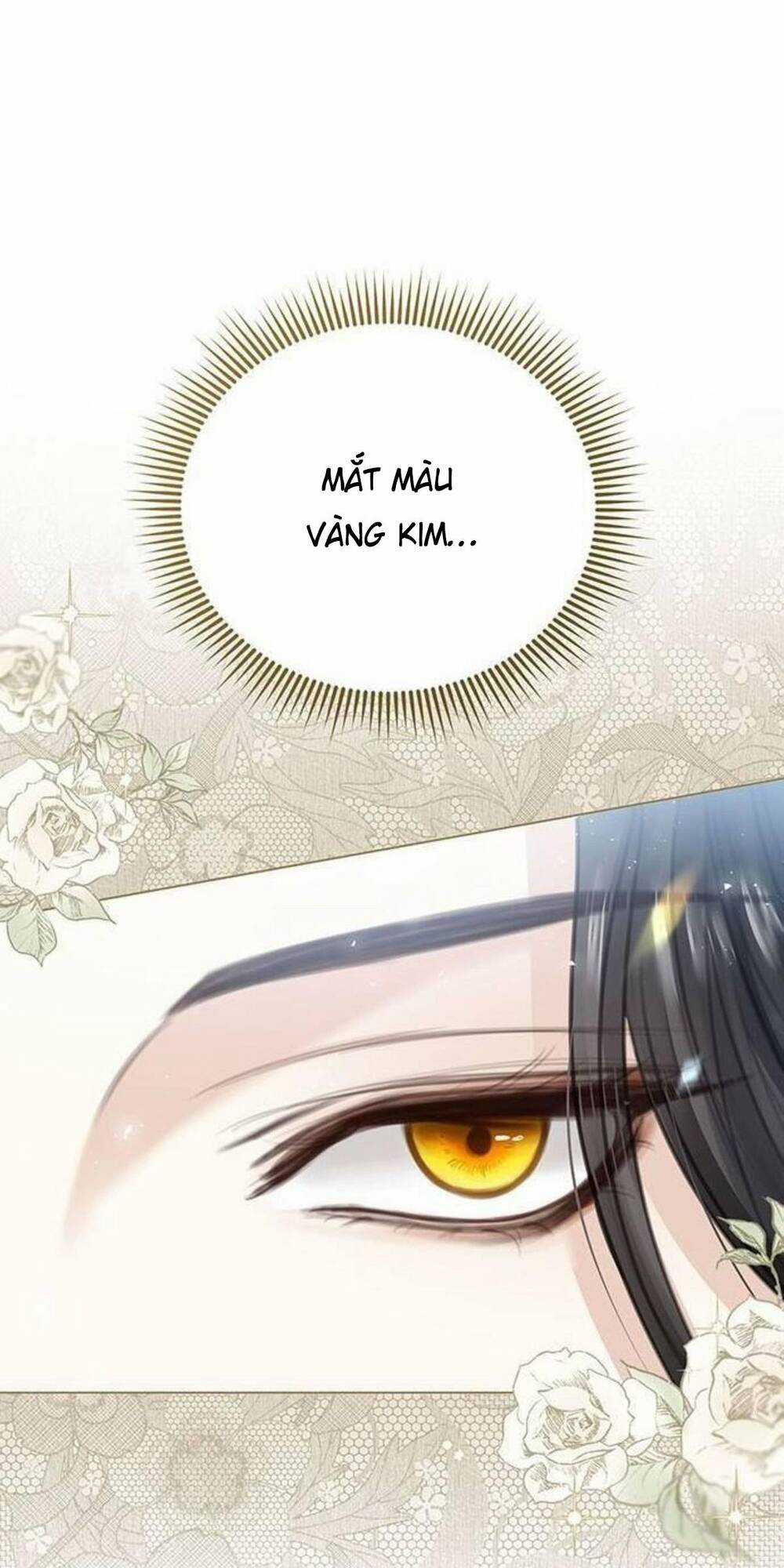 Tôi Sẽ Từ Bỏ Vị Trí Hoàng Phi Chapter 2 trang 41