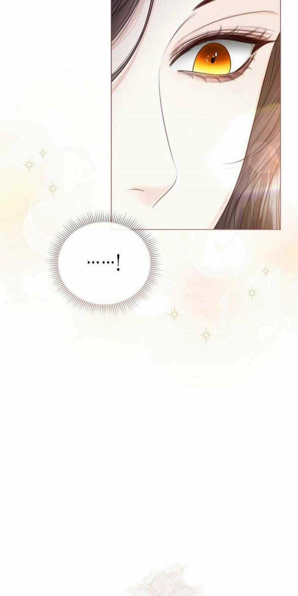 Tôi Sẽ Từ Bỏ Vị Trí Hoàng Phi Chapter 20 trang 14