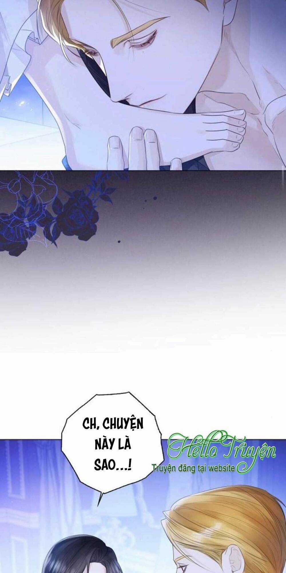 Tôi Sẽ Từ Bỏ Vị Trí Hoàng Phi Chapter 22 trang 65