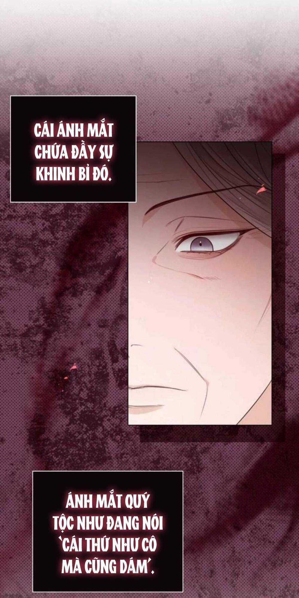 Tôi Sẽ Từ Bỏ Vị Trí Hoàng Phi Chapter 27 trang 21