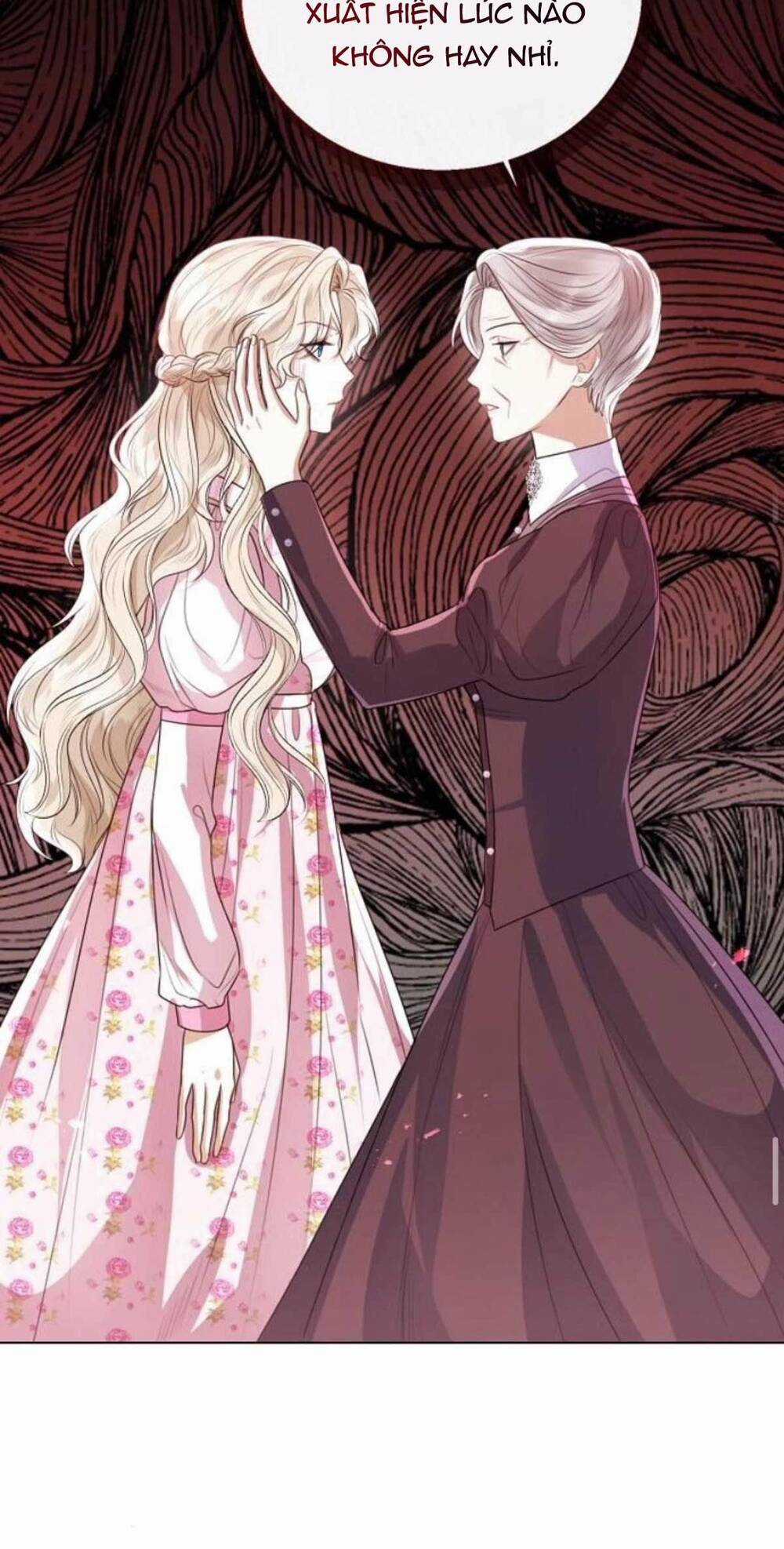 Tôi Sẽ Từ Bỏ Vị Trí Hoàng Phi Chapter 27 trang 27