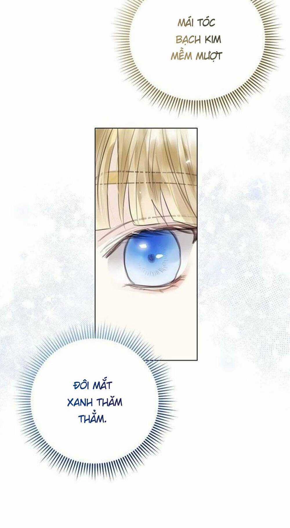 Tôi Sẽ Từ Bỏ Vị Trí Hoàng Phi Chapter 3 trang 65