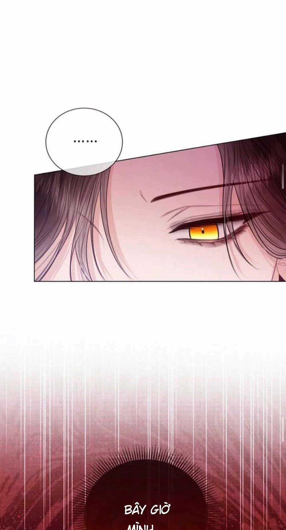 Tôi Sẽ Từ Bỏ Vị Trí Hoàng Phi Chapter 30 trang 49