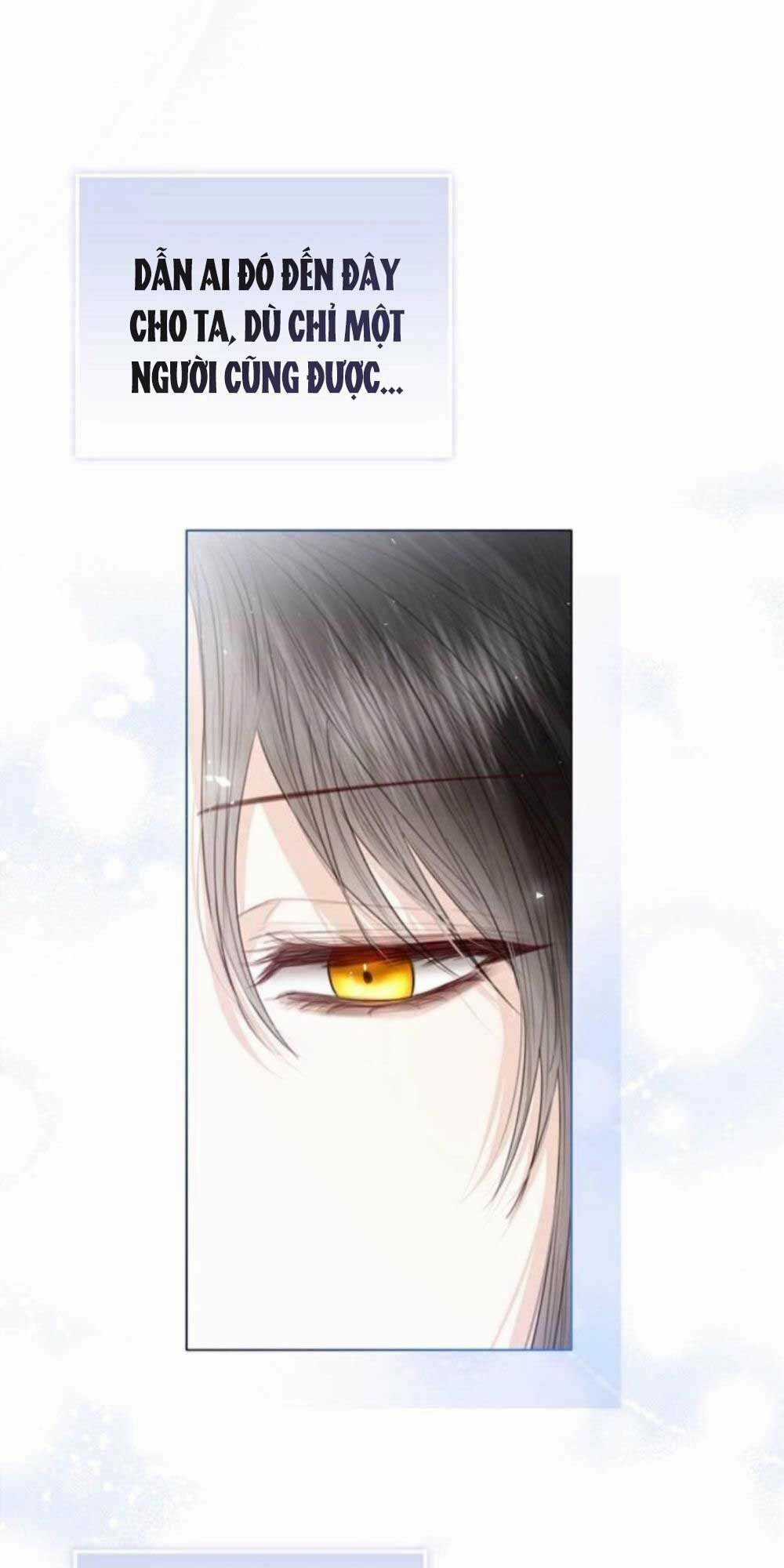 Tôi Sẽ Từ Bỏ Vị Trí Hoàng Phi Chapter 35 trang 28