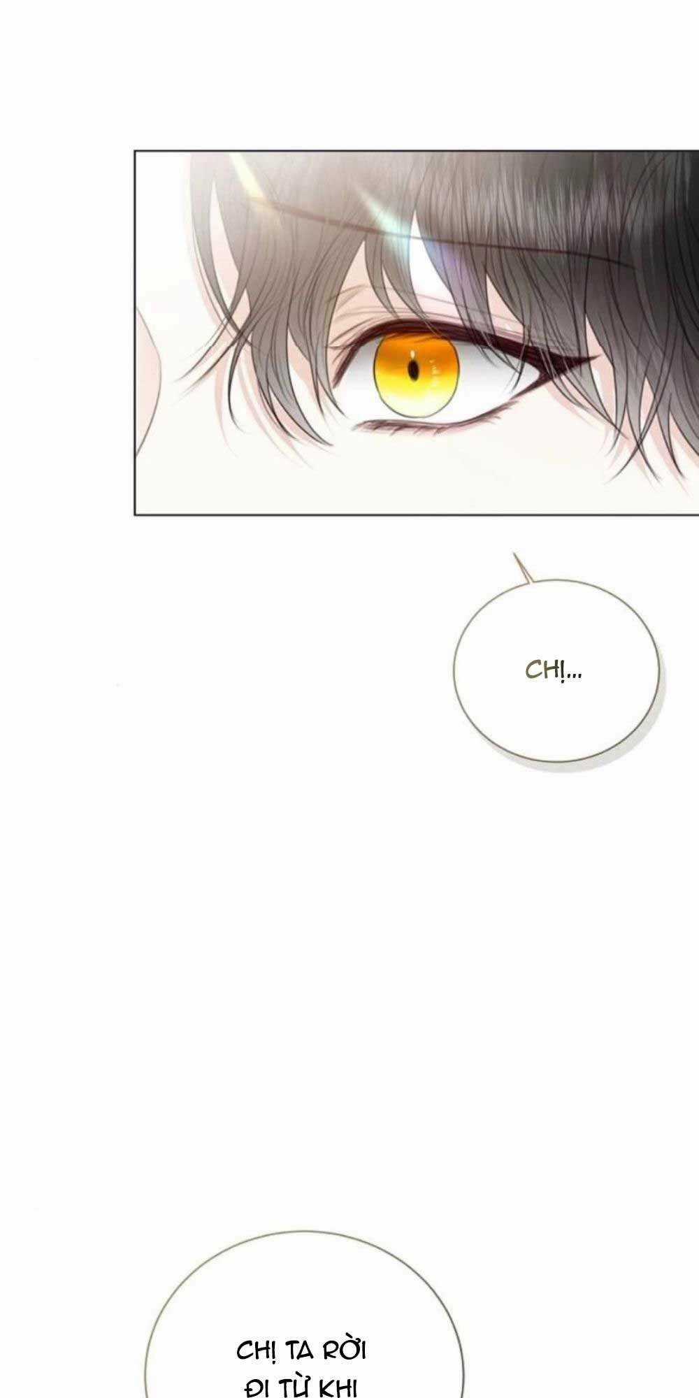 Tôi Sẽ Từ Bỏ Vị Trí Hoàng Phi Chapter 37 trang 36