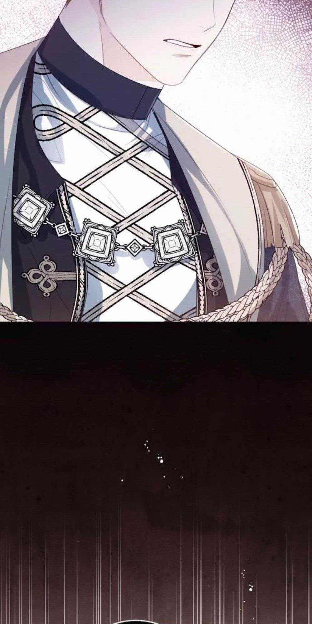 Tôi Sẽ Từ Bỏ Vị Trí Hoàng Phi Chapter 40 trang 8