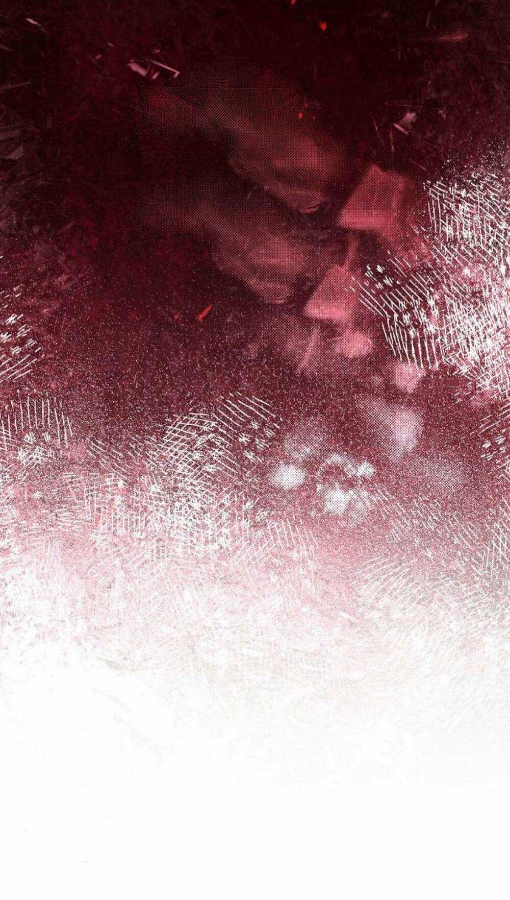 Tôi Sẽ Từ Bỏ Vị Trí Hoàng Phi Chapter 47.1 trang 38