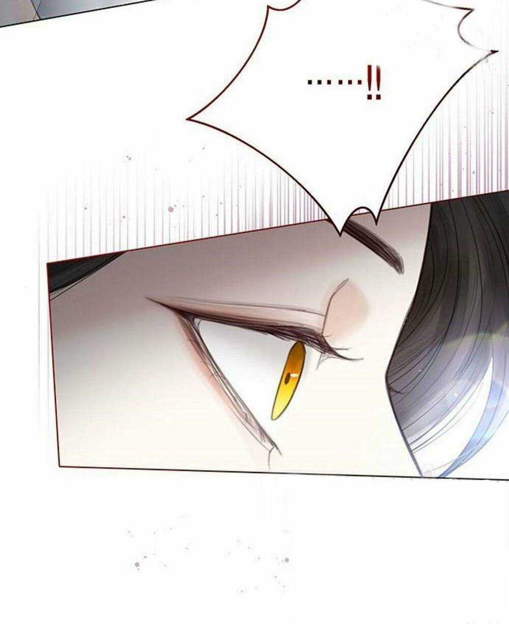 Tôi Sẽ Từ Bỏ Vị Trí Hoàng Phi Chapter 5 trang 61