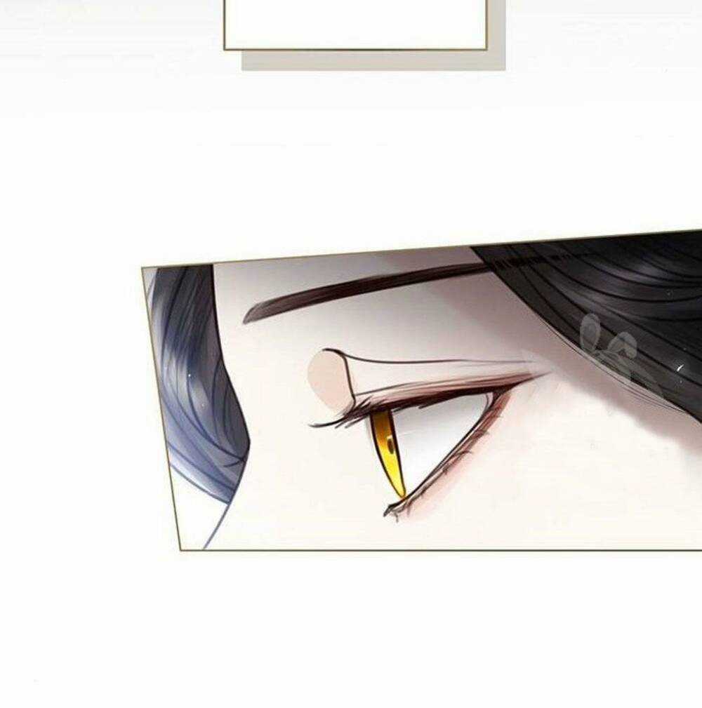 Tôi Sẽ Từ Bỏ Vị Trí Hoàng Phi Chapter 5 trang 9