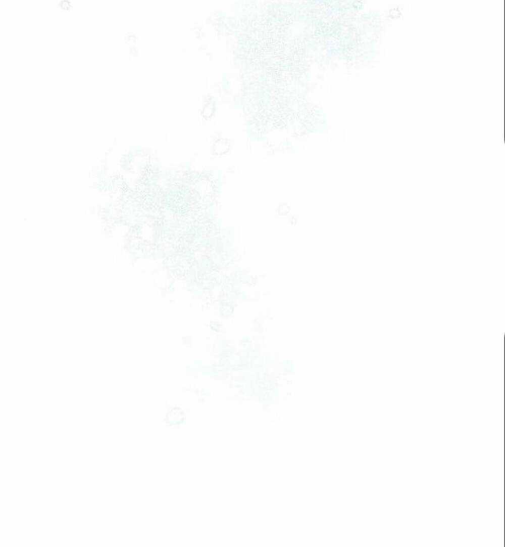 Tôi Sẽ Từ Bỏ Vị Trí Hoàng Phi Chapter 7 trang 52