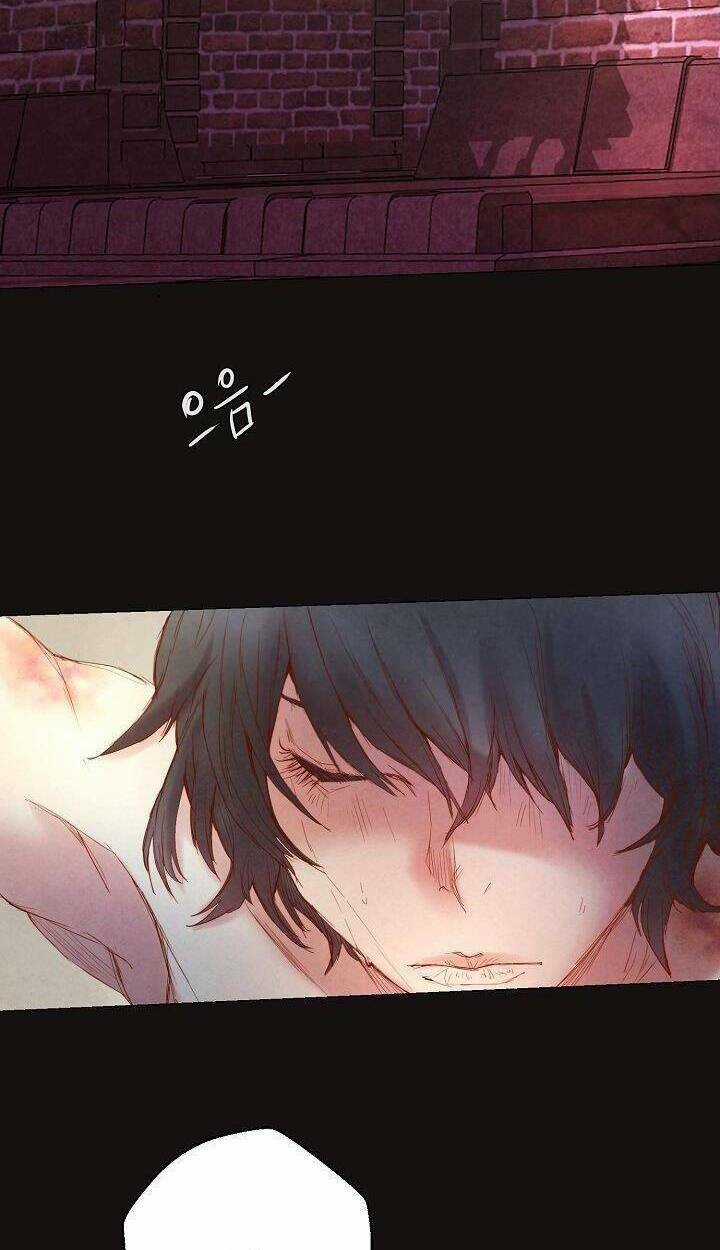 Tôi Sống Sót Như Một Nàng Công Chúa Giả Chapter 3 trang 2