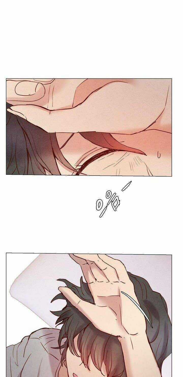 Tôi Sống Sót Như Một Nàng Công Chúa Giả Chapter 5 trang 17