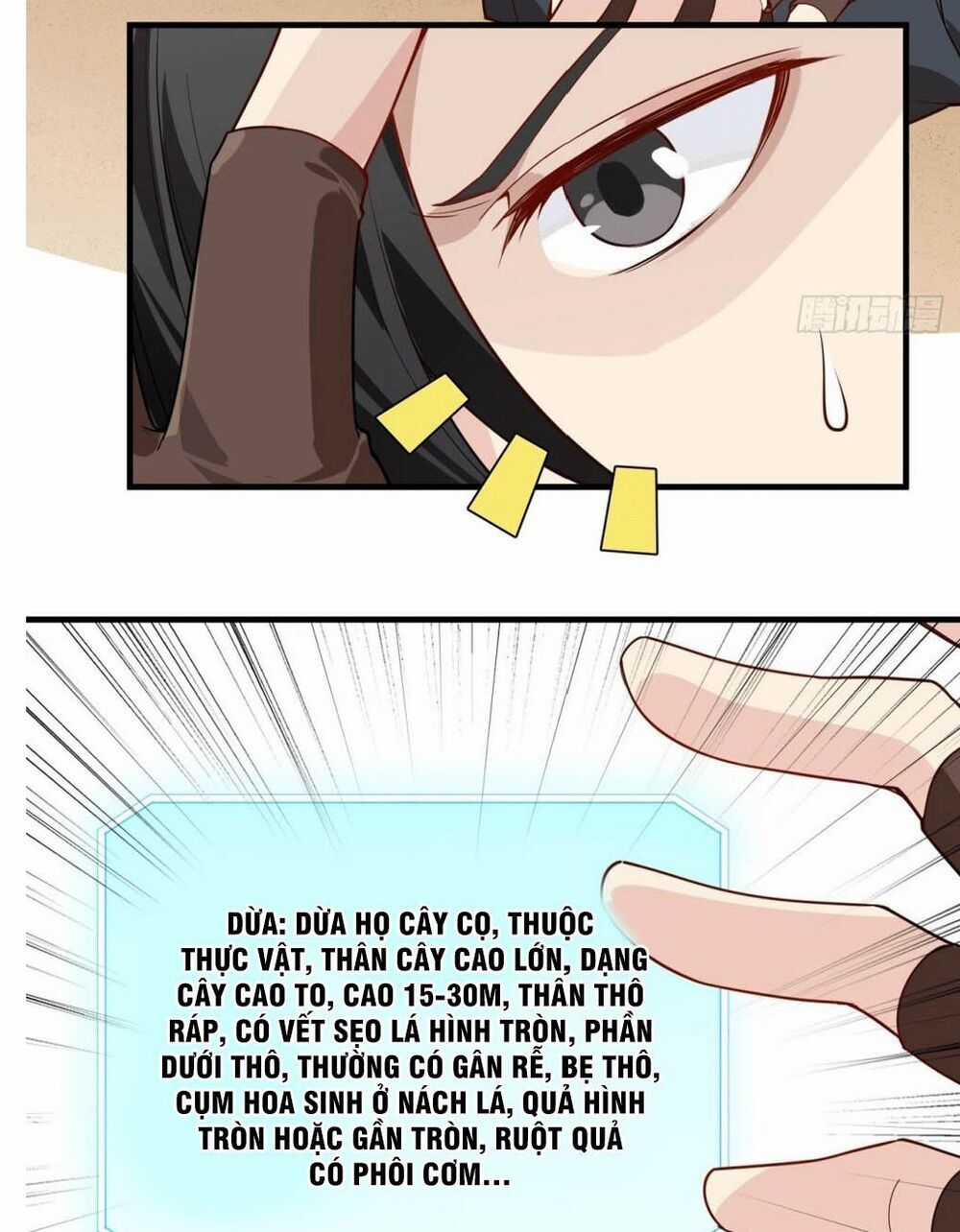 Tôi Sống Trên Hoang Đảo Cùng Các Em Gái Chương 0 trang 4