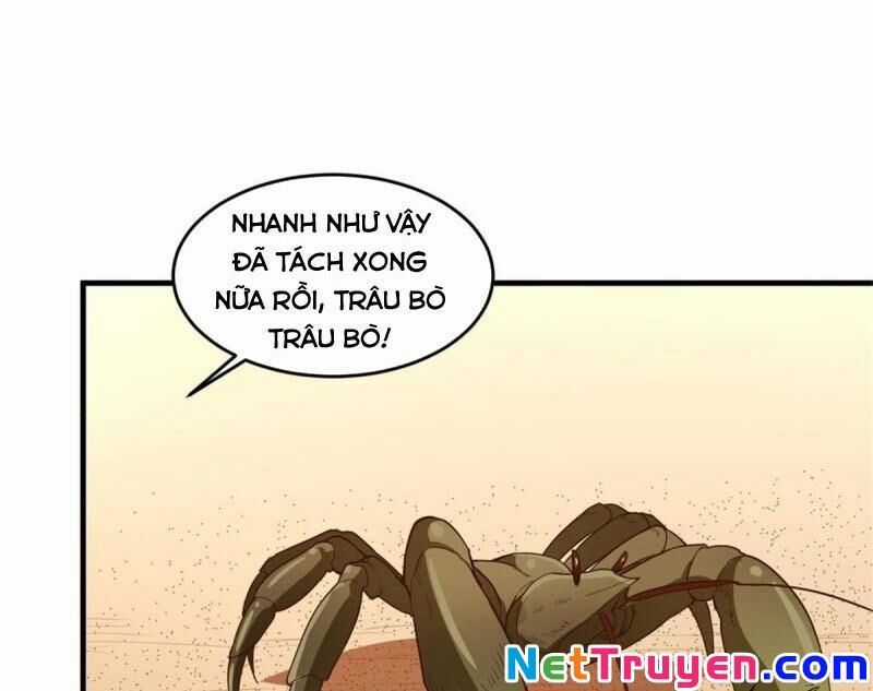 Tôi Sống Trên Hoang Đảo Cùng Các Em Gái Chương 10 trang 5