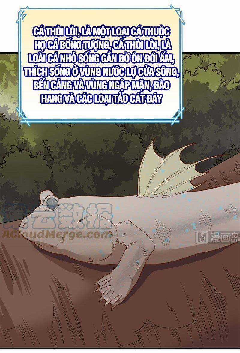 Tôi Sống Trên Hoang Đảo Cùng Các Em Gái Chương 152 trang 29