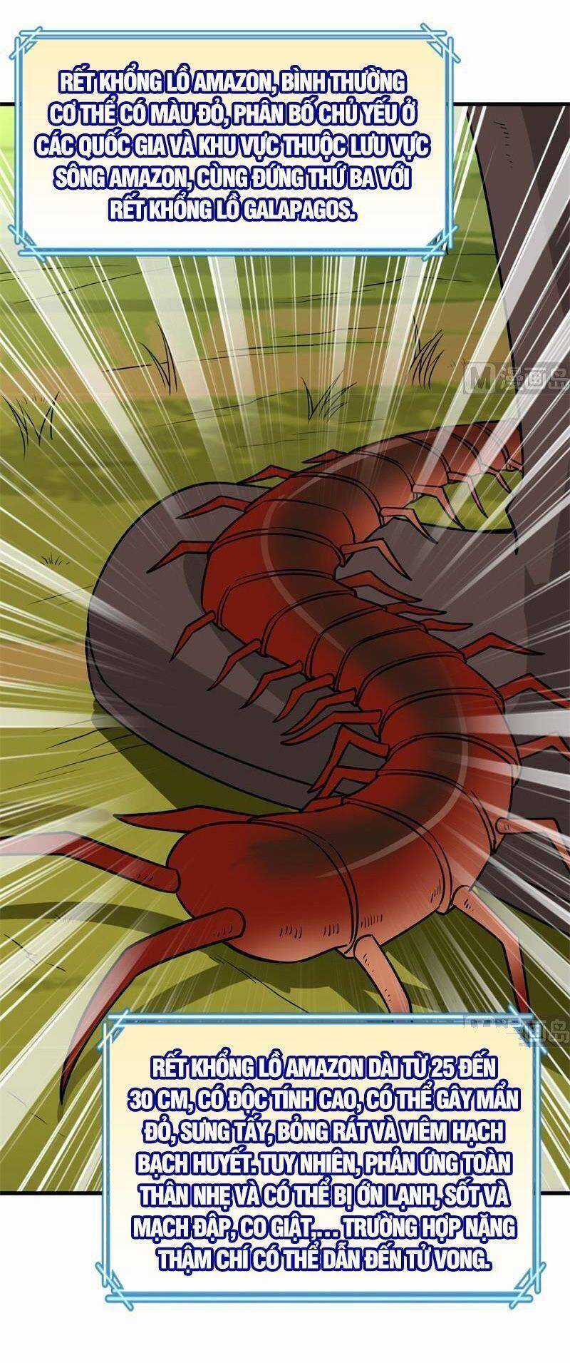 Tôi Sống Trên Hoang Đảo Cùng Các Em Gái Chương 153 trang 23