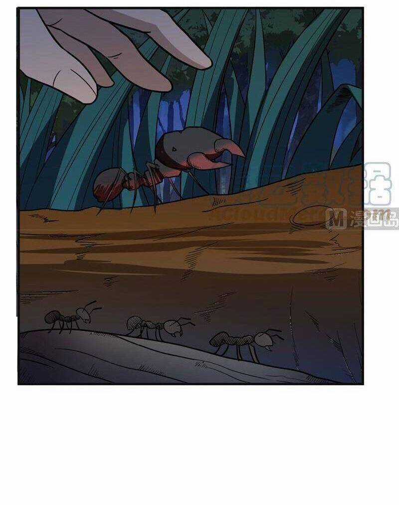 Tôi Sống Trên Hoang Đảo Cùng Các Em Gái Chương 156 trang 26