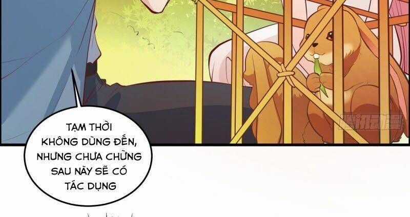 Tôi Sống Trên Hoang Đảo Cùng Các Em Gái Chương 16 trang 19