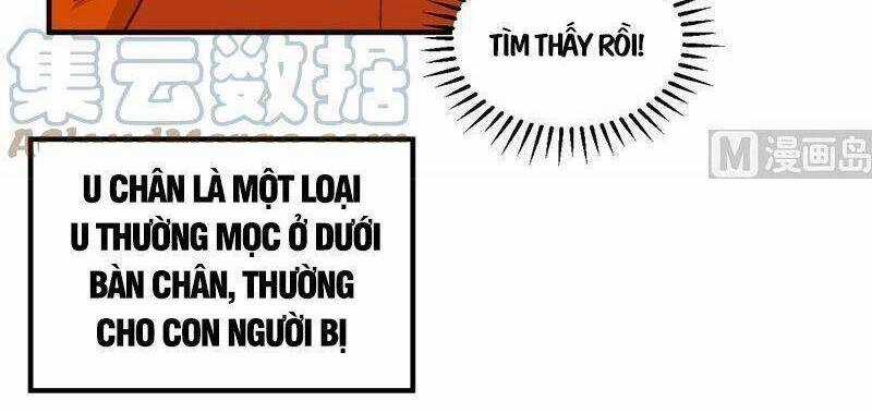 Tôi Sống Trên Hoang Đảo Cùng Các Em Gái Chương 165 trang 5