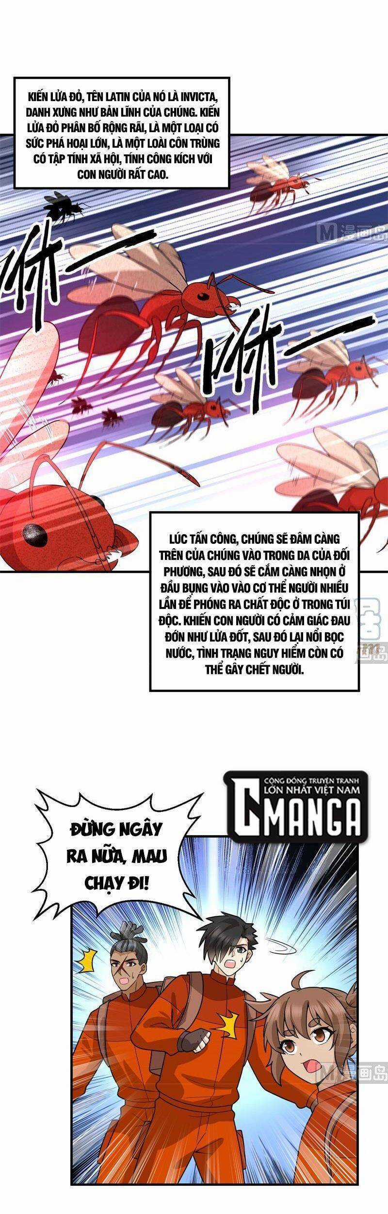 Tôi Sống Trên Hoang Đảo Cùng Các Em Gái Chương 166 trang 11