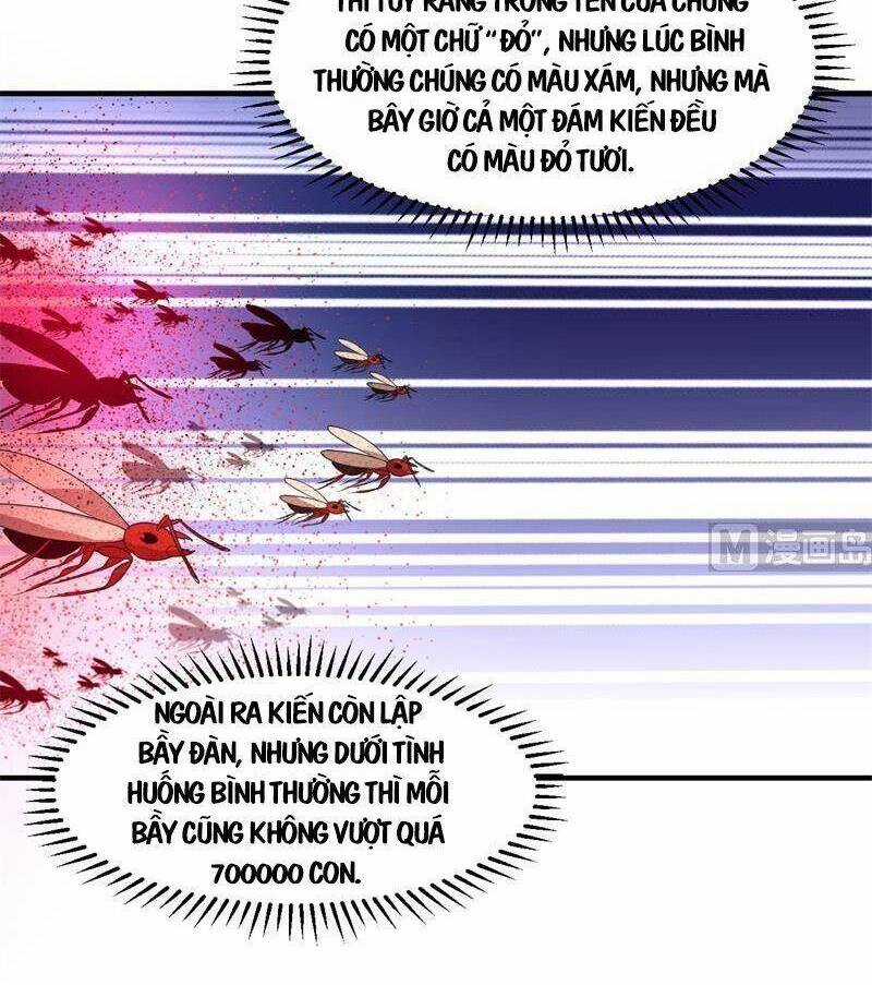 Tôi Sống Trên Hoang Đảo Cùng Các Em Gái Chương 166 trang 14