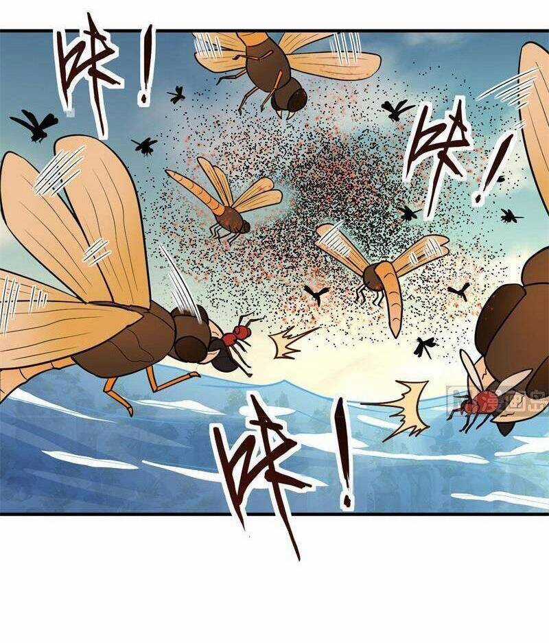 Tôi Sống Trên Hoang Đảo Cùng Các Em Gái Chương 167 trang 13