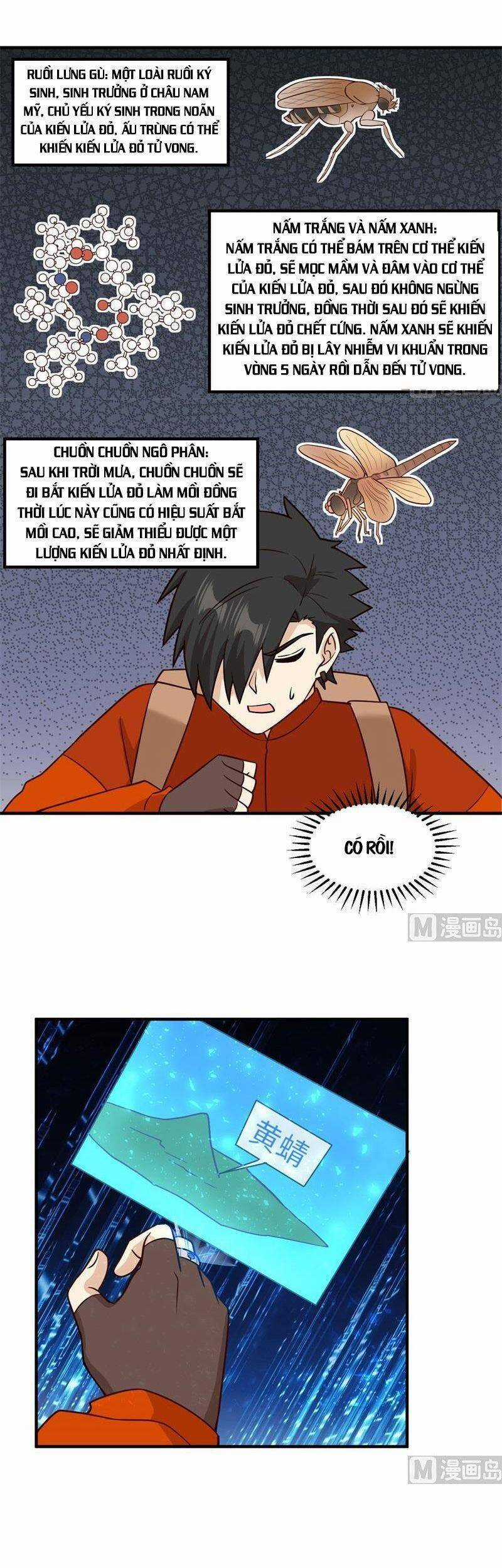 Tôi Sống Trên Hoang Đảo Cùng Các Em Gái Chương 167 trang 2