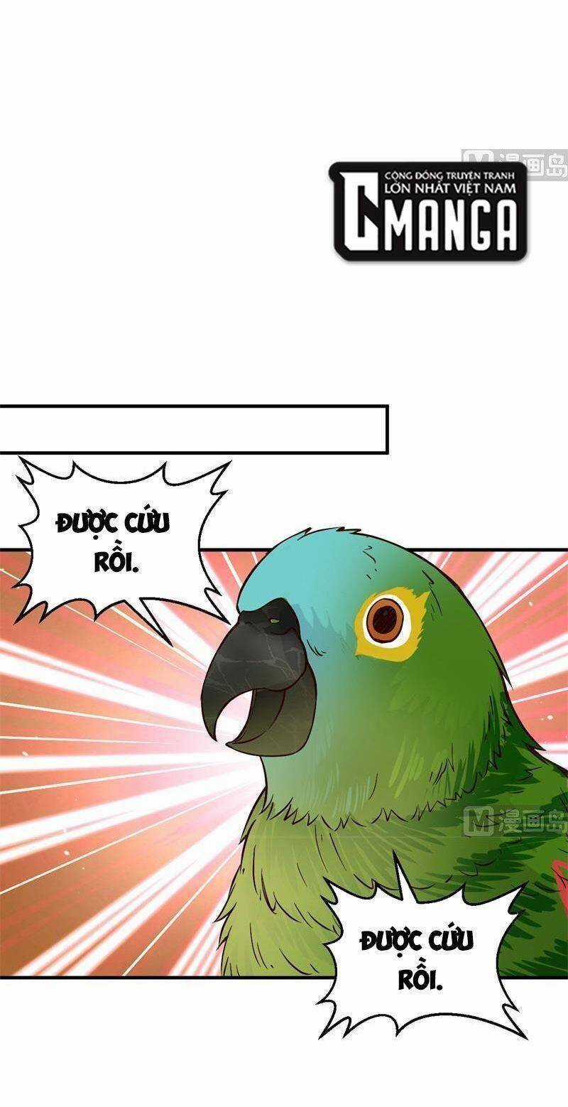 Tôi Sống Trên Hoang Đảo Cùng Các Em Gái Chương 174 trang 5