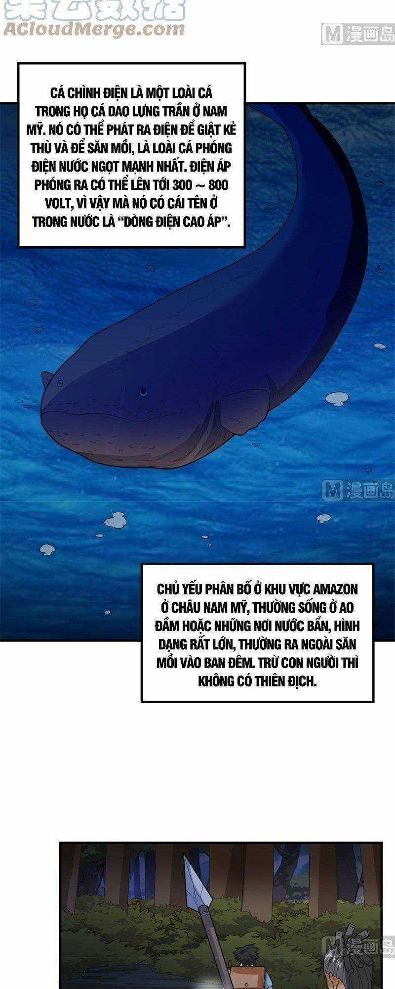 Tôi Sống Trên Hoang Đảo Cùng Các Em Gái Chương 185 trang 14