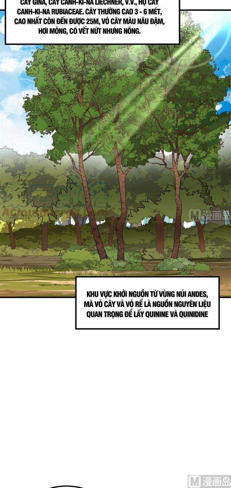 Tôi Sống Trên Hoang Đảo Cùng Các Em Gái Chương 185 trang 17