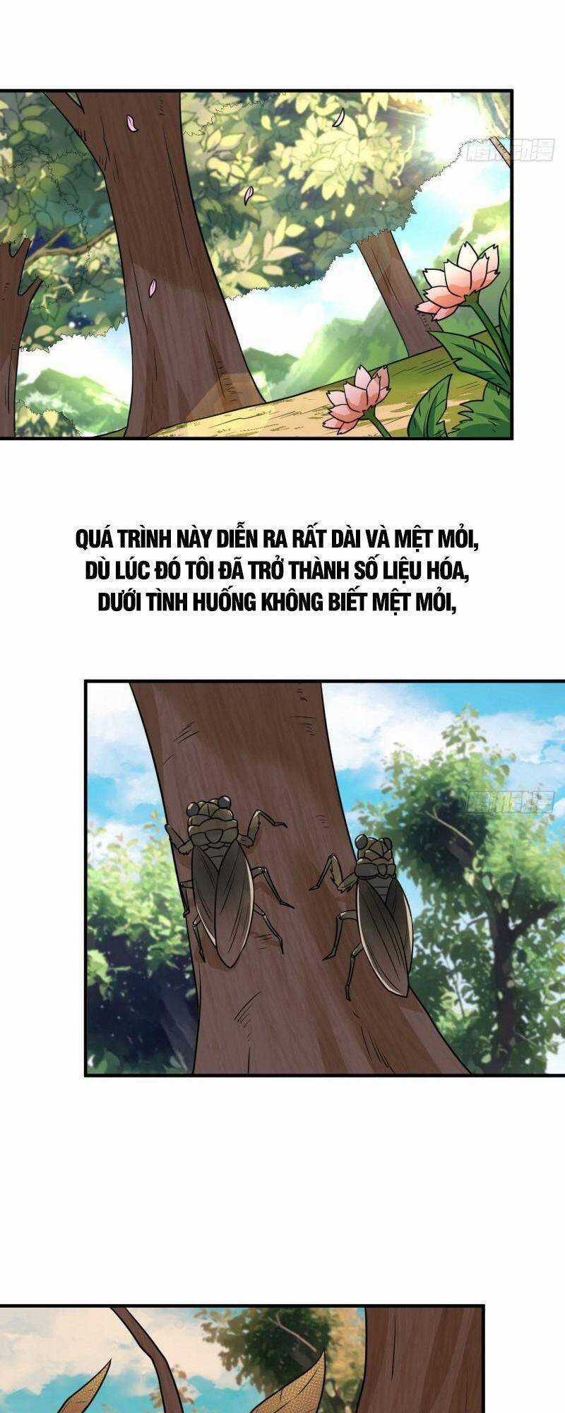 Tôi Sống Trên Hoang Đảo Cùng Các Em Gái Chương 200 trang 22