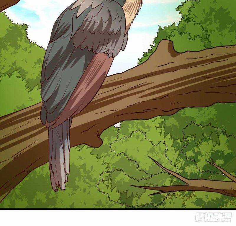 Tôi Sống Trên Hoang Đảo Cùng Các Em Gái Chương 204 trang 5