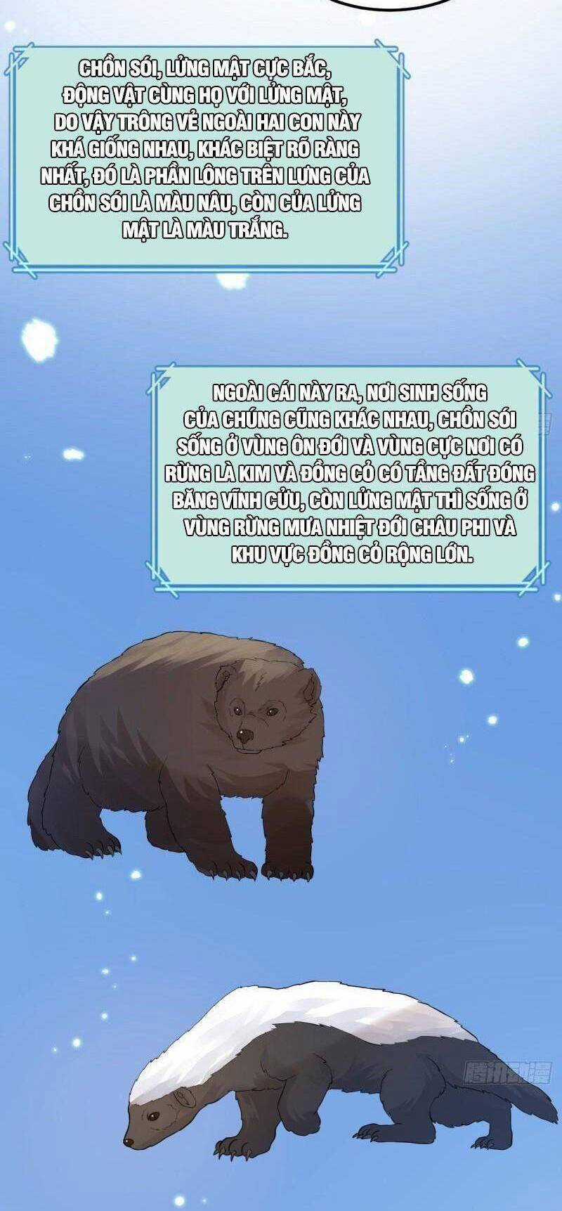 Tôi Sống Trên Hoang Đảo Cùng Các Em Gái Chương 228 trang 22