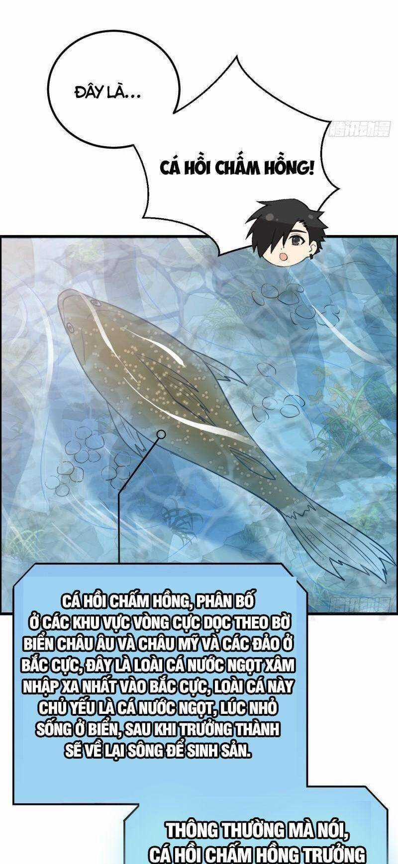 Tôi Sống Trên Hoang Đảo Cùng Các Em Gái Chương 229 trang 4