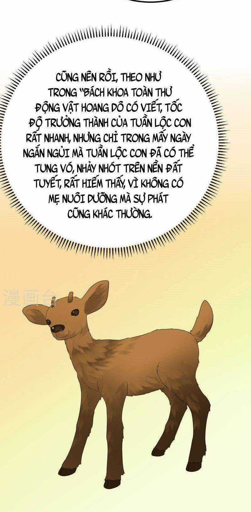 Tôi Sống Trên Hoang Đảo Cùng Các Em Gái Chương 231 trang 15