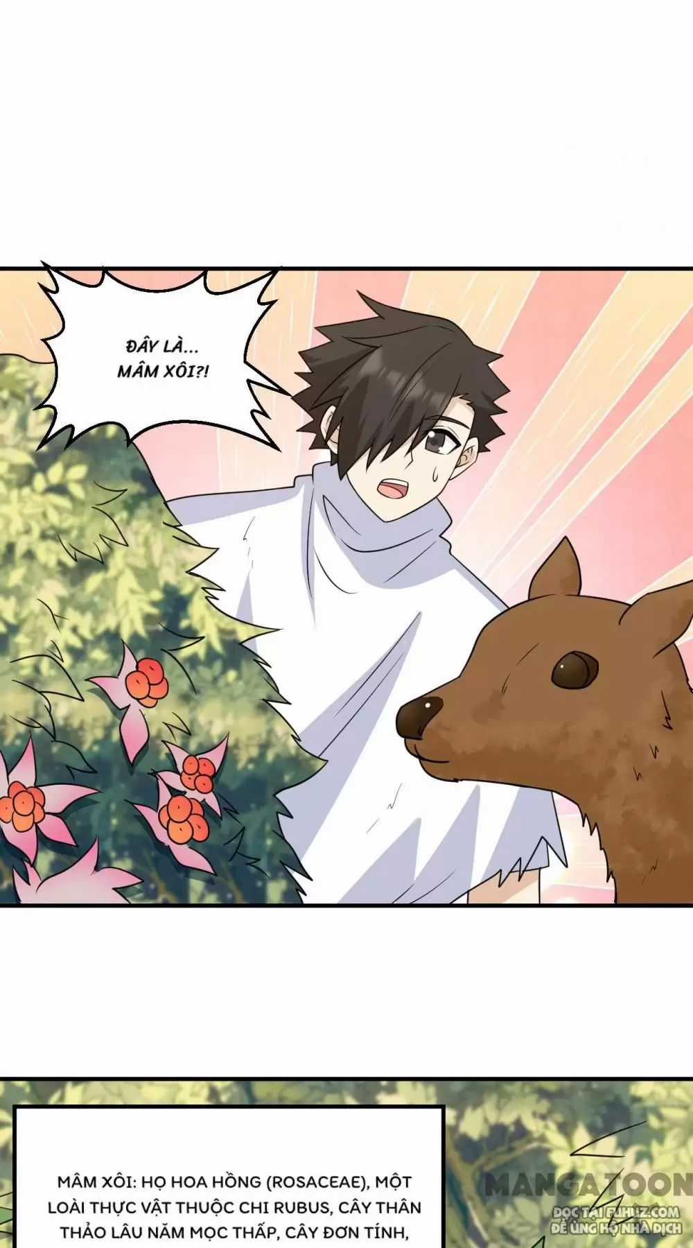 Tôi Sống Trên Hoang Đảo Cùng Các Em Gái Chương 232 trang 10