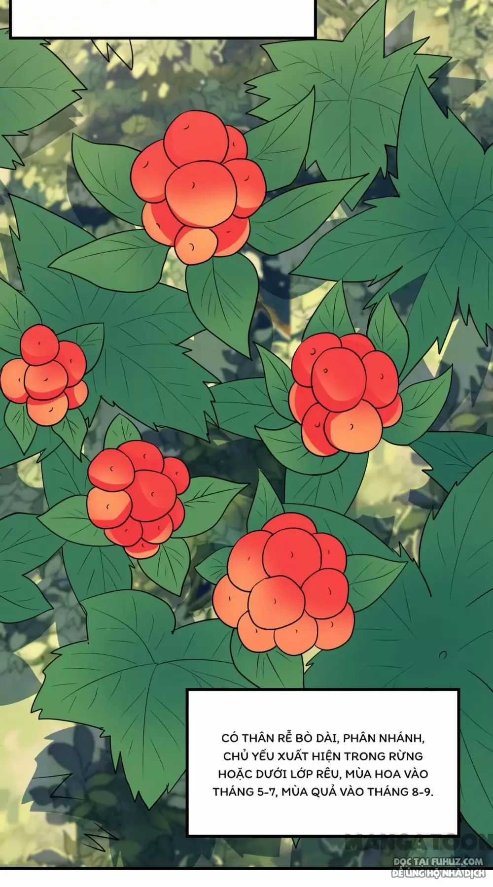 Tôi Sống Trên Hoang Đảo Cùng Các Em Gái Chương 232 trang 11