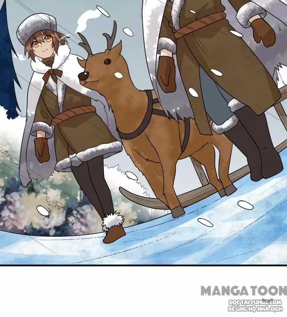 Tôi Sống Trên Hoang Đảo Cùng Các Em Gái Chương 232 trang 19