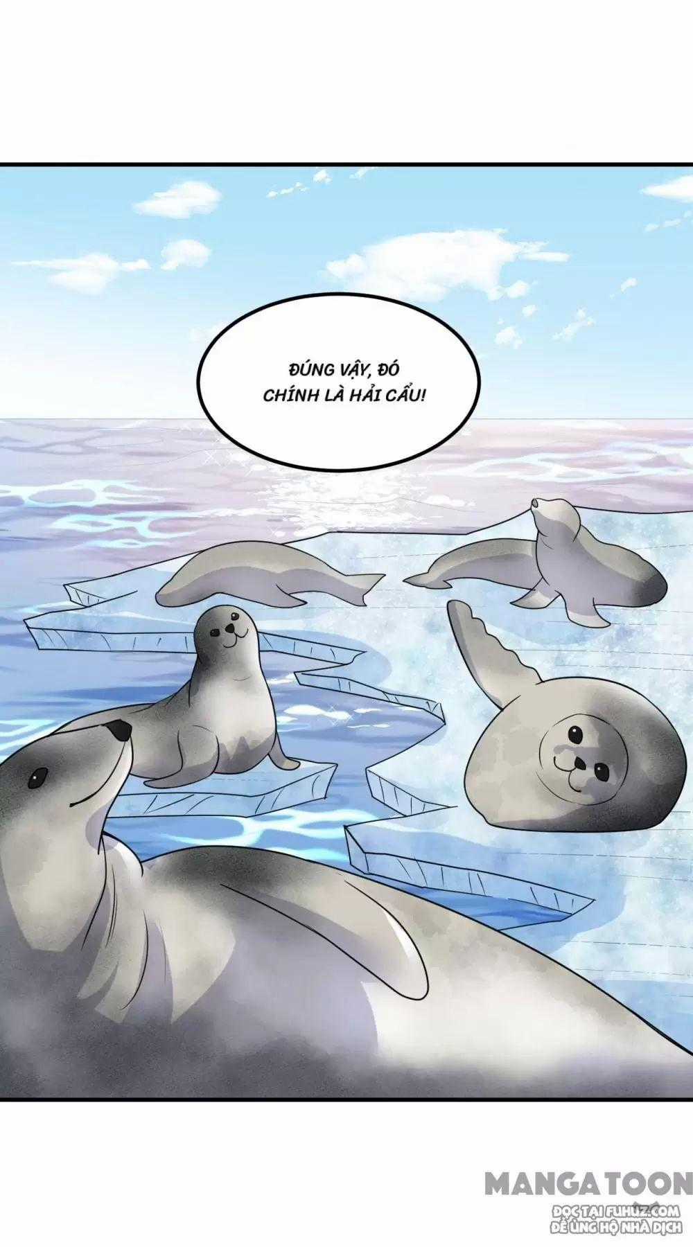 Tôi Sống Trên Hoang Đảo Cùng Các Em Gái Chương 232 trang 38